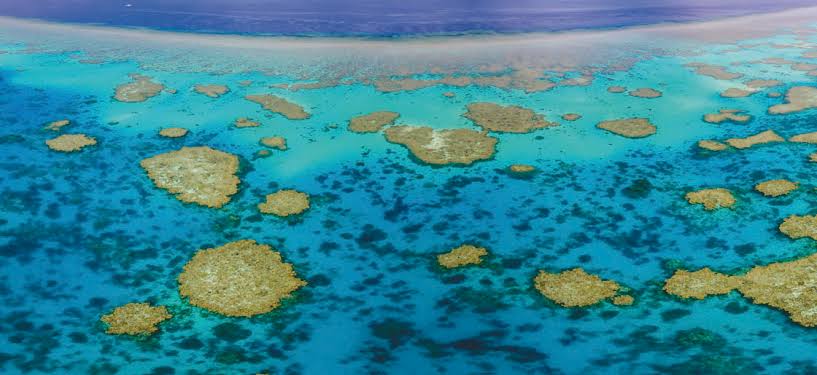 Gran Barrera de Coral, Australia